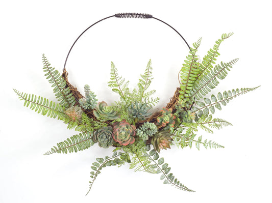 Fern and Succulent Wall Decor – 24.5 x 19.25 Inch Greenery Wall Art for Home & Office Décor